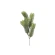 Spruce branch, 32 cm