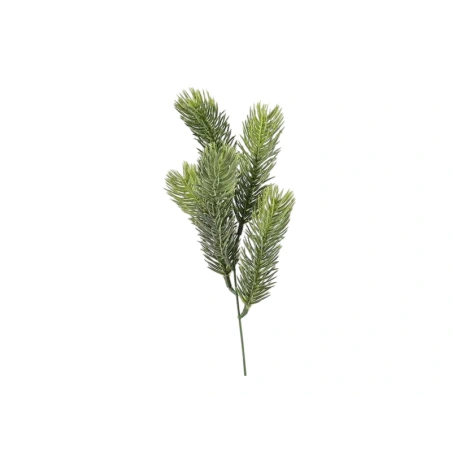 Spruce branch, 32 cm
