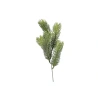 Spruce branch, 32 cm