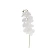 Orhidejas zars, 100 cm, balts