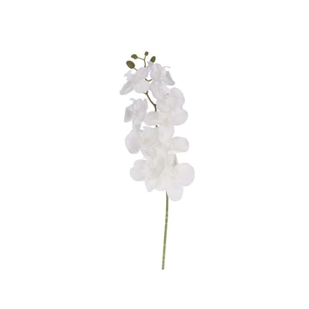 Orchidėjos šaka, 100 cm, baltos spalvos