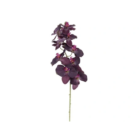 Orchidėjos šaka, 100 cm, tamsiai violetinės ir auksinės spalvos