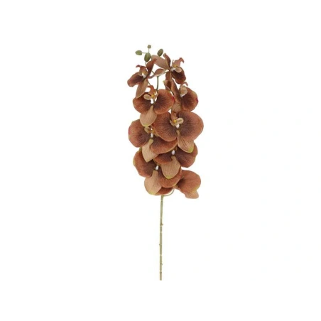 Orchidėjos šaka, 100 cm, tamsiai rudos ir auksinės spalvos