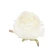 Artificial rose flowers, Ø 8 cm, vanilla color, 1 pack - 12 pcs.