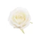 Artificial rose flowers, Ø 8 cm, cream color, 1 pack - 12 pcs.