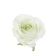 Artificial rose flowers, Ø 8 cm, light green, 1 pack - 12 pcs.