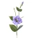 Dirbtinė eustoma, 45 cm, violetinės spalvos