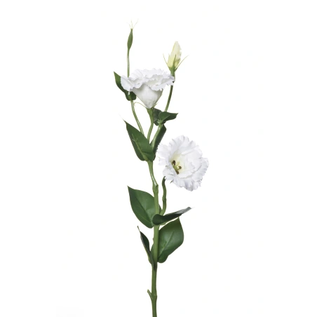 Dirbtinė eustoma, 75 cm, baltos spalvos