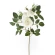 Mākslīgais rozes zars, 50 cm, krēmkrāsas