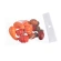 Moliūgų ir giliukų rinkinys, 3-5 cm, 1 pak. - 10 vnt.