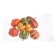 Mini pumpkin set, 3-5 cm, 1 pack - 10 pcs.