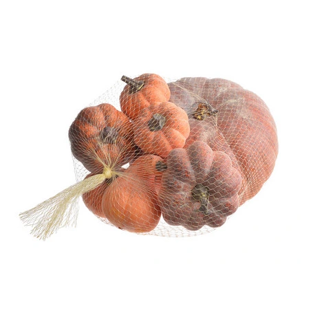 Pumpkins, Ø 7.5-23 cm, H 6.5-14 cm, 1 pack - 7 pcs.