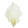 Artificial calla lilies, 9 cm, cream color, 1 pack - 12 pcs.