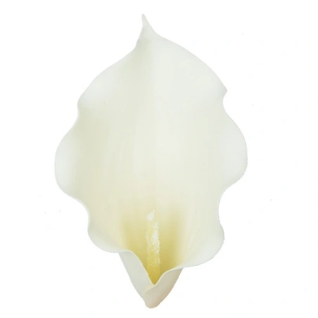 Artificial calla lilies, 9 cm, cream color, 1 pack - 12 pcs.