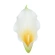 Artificial calla lilies, 9 cm, cream-yellow color, 1 pack - 12 pcs.