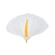 Artificial calla lilies, 12 cm, white, 1 pack - 24 pcs.