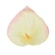 Artificial calla lilies, 12 cm, cream-pink color, 1 pack - 24 pcs.