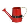 Watering can, 10×5×6 cm