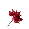 Berries on a stalk, 11 cm