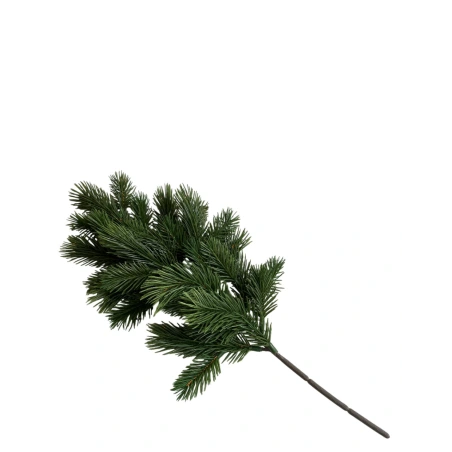 Spruce branch, 46 cm
