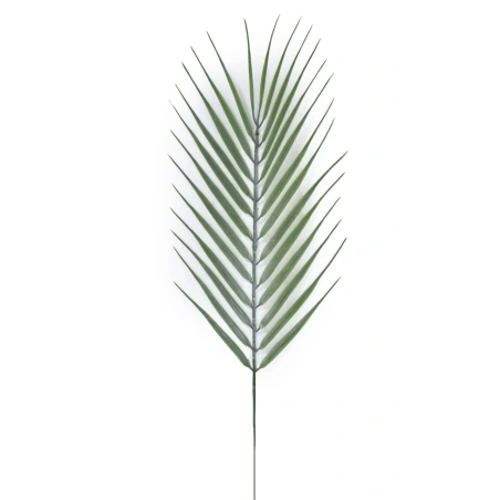Ciko lapas, 57 cm