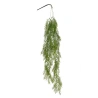 Kabantis smidras (Asparagus), 100 cm