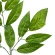 Artificial leaf branch, 71 cm