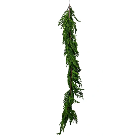 Virtene, 160 cm