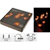 LED liesmas lampas, 10 l., (piemērotas āra apgaismojumam)