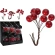 BERRIES SET RED