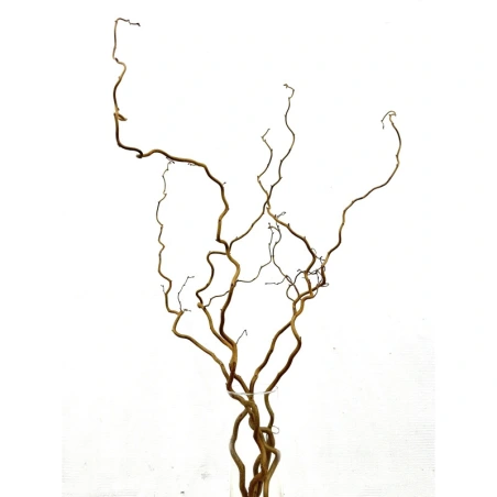 Natural Hazel (Corylus) Branches, 130 cm, 1 Pack – 5 Pcs