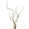 Natural Hazel (Corylus) Branches, 140 cm, 1 Pack – 5 Pcs