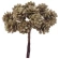 Pine cones (12 pcs.) on 10 cm wire