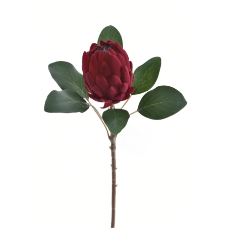 Velvet Artichoke, 66 cm