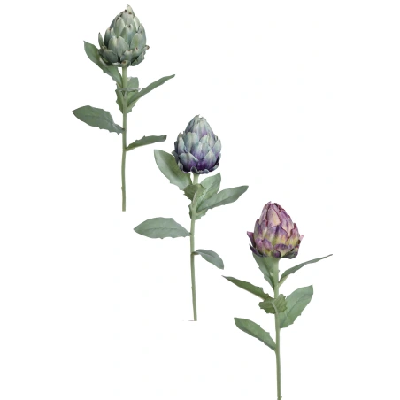 Artišokas, 59 cm