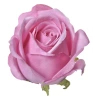 Artificial Rose Flowers, 7.5×8×8 cm, 1 pack - 12 pcs.