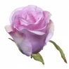 Artificial Rose Flowers, 6 cm, 1 pack - 24 pcs.