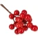 Branch with Berries, 18 cm