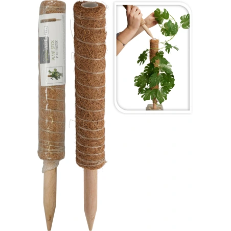 PLANT STICK COCONUT H40CM