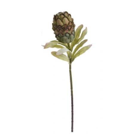 Protea, 75 cm, zaļi melna