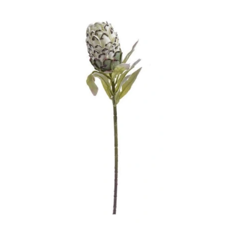 Protea, 75 cm, balti melna krāsa