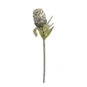 Protea, 75 cm, balti melna krāsa