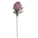 Protea, mākslīgais augs, 90 cm, tumši rozā