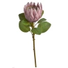 Protea, mākslīgais augs, 67 cm, pelnu rozā krāsā