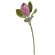 Protea, mākslīgais augs, 67 cm, gaiši violets