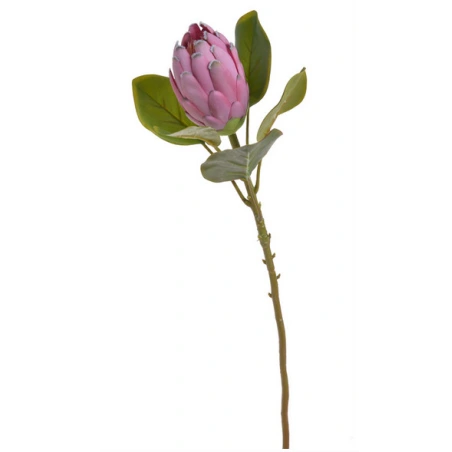 Protea, mākslīgais augs, 67 cm, gaiši violets