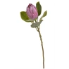 Protea, mākslīgais augs, 67 cm, gaiši violets