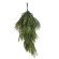 Skujkoku zars, 70 cm