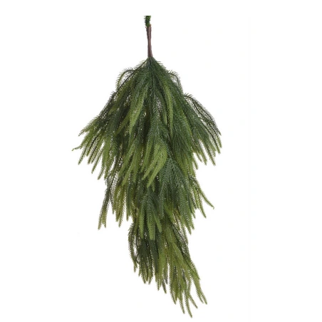 Skujkoku zars, 70 cm