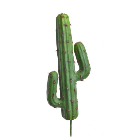 Kaktuss, 20 × 9 cm